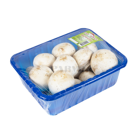Грибы "Бига" голландские, шампиньоны Ш