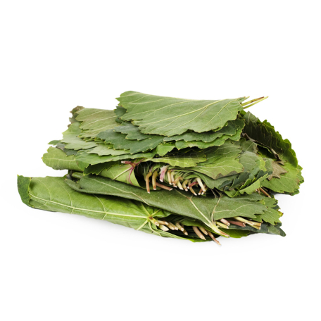 Grape leaf kg