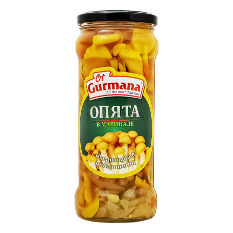 Pickled mushroom "Ot Gurmana" armillaria 530g