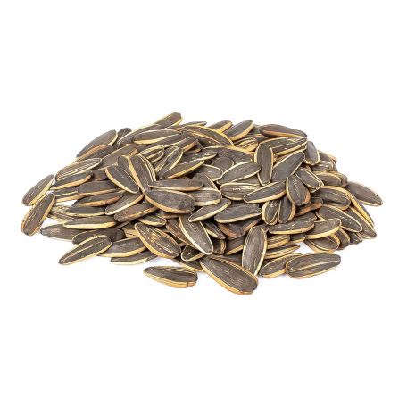 Sunflower seeds "Ot Martina" with salt kg