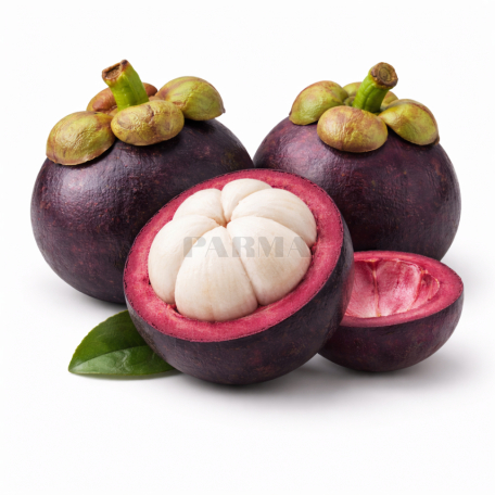 Mangosteen kg