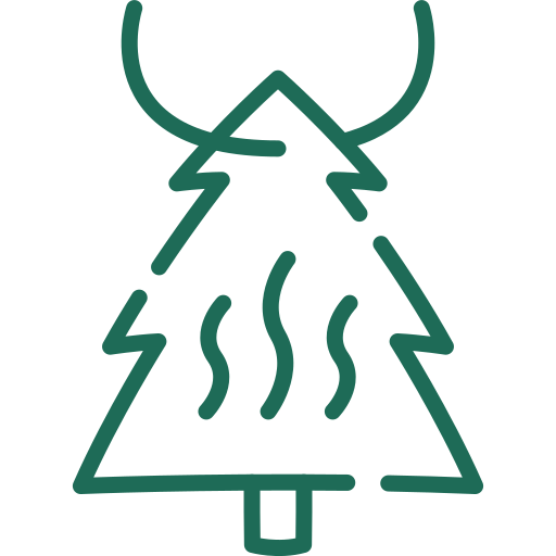 Մեքենայի թարմացուցիչ