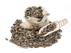 Семена и Палочки