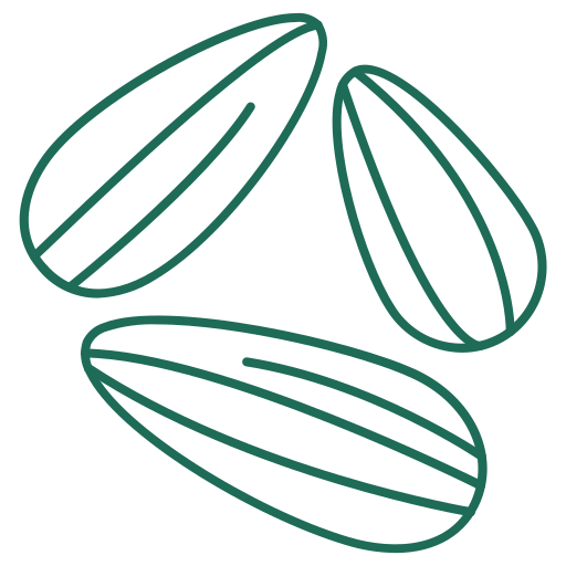 Սերմեր և Ձողիկներ