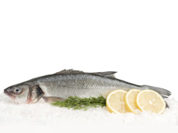 Замороженная рыба и морепродукты