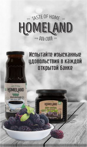 Хомленд